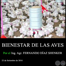 BIENESTAR DE LAS AVES - Ing. Agr. FERNANDO DAZ SHENKER - 22 de Setiembre de 2016